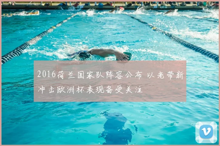 2016荷兰国家队阵容公布 以老带新冲击欧洲杯表现备受关注