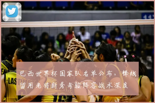 巴西世界杯国家队名单公布，锋线留用老将新秀考验阵容战术深度