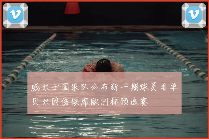 威尔士国家队公布新一期球员名单贝尔因伤缺席欧洲杯预选赛