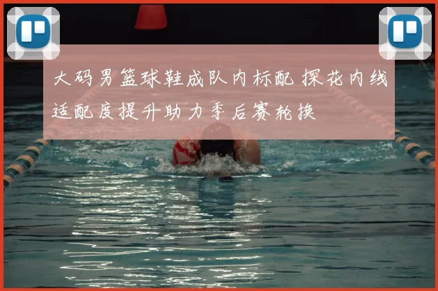 大码男篮球鞋成队内标配 探花内线适配度提升助力季后赛轮换