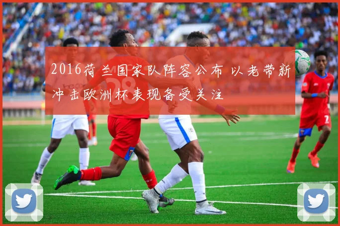 2016荷兰国家队阵容公布 以老带新冲击欧洲杯表现备受关注