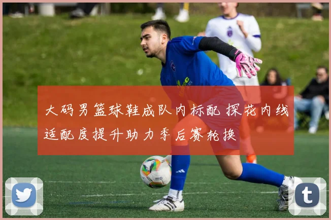 大码男篮球鞋成队内标配 探花内线适配度提升助力季后赛轮换