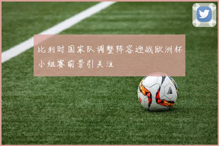 比利时国家队调整阵容迎战欧洲杯小组赛前景引关注