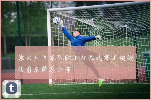 意大利国家队欧洲杯预选赛关键战役首发阵容公布
