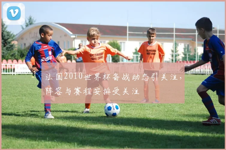 法国2010世界杯备战动态引关注,阵容与赛程安排受关注